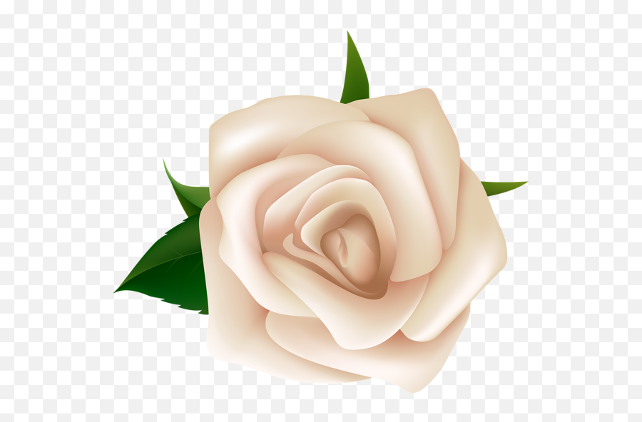 White Rose Clipart Png - White Rose Clip Art,White Roses Png