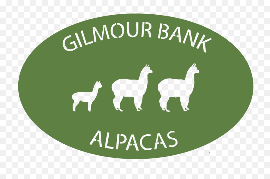 Download Hd Gilmour Bank Alpaca - Alpaca Bank Png,Llama Png