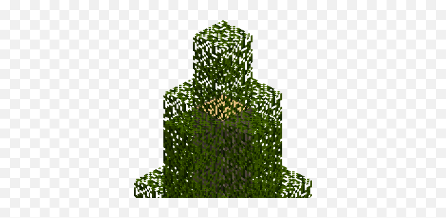 Cypress Tree - Spruce Tree Png Minecraft,Cypress Tree Png