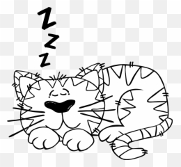 Do Betta Fish Sleep - Betta Fish Care A Betta Fish Must Read Cat Napping Clipart Black And White Png,Betta Fish Png