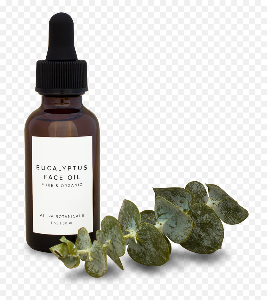 Eucalyptus Face Oil - Cosmetics Png,Eucalyptus Leaves Png