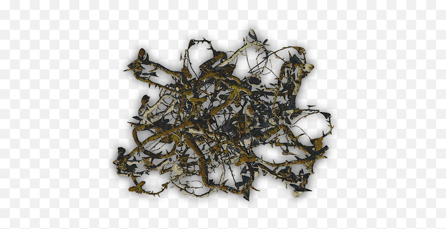 Thorn Thicket Png U0026 Free Thicketpng Transparent - Thorn Vines D And D Transparent,Thorn Png