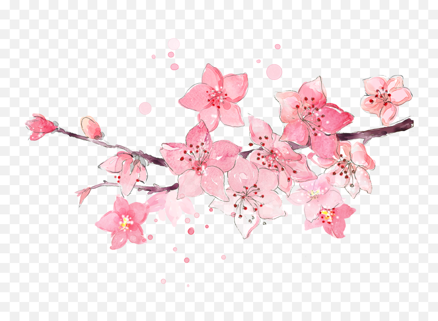 Collection Of Peach Blossom Png Images - Watercolor Cherry Blossoms Png,Cherry Blossoms Png