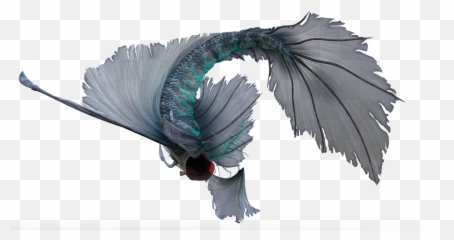 Mermaid Tail Costume - Galliformes png