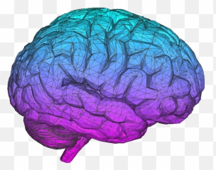 Aesthetic Brain Transparent - Brain Aesthetic Png,Brain Transparent Png