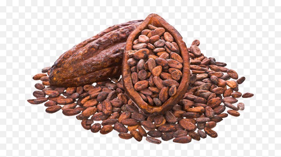 Cocoa Beans Png Image Mart - Cocoa Beans Transparent Background,Beans Png
