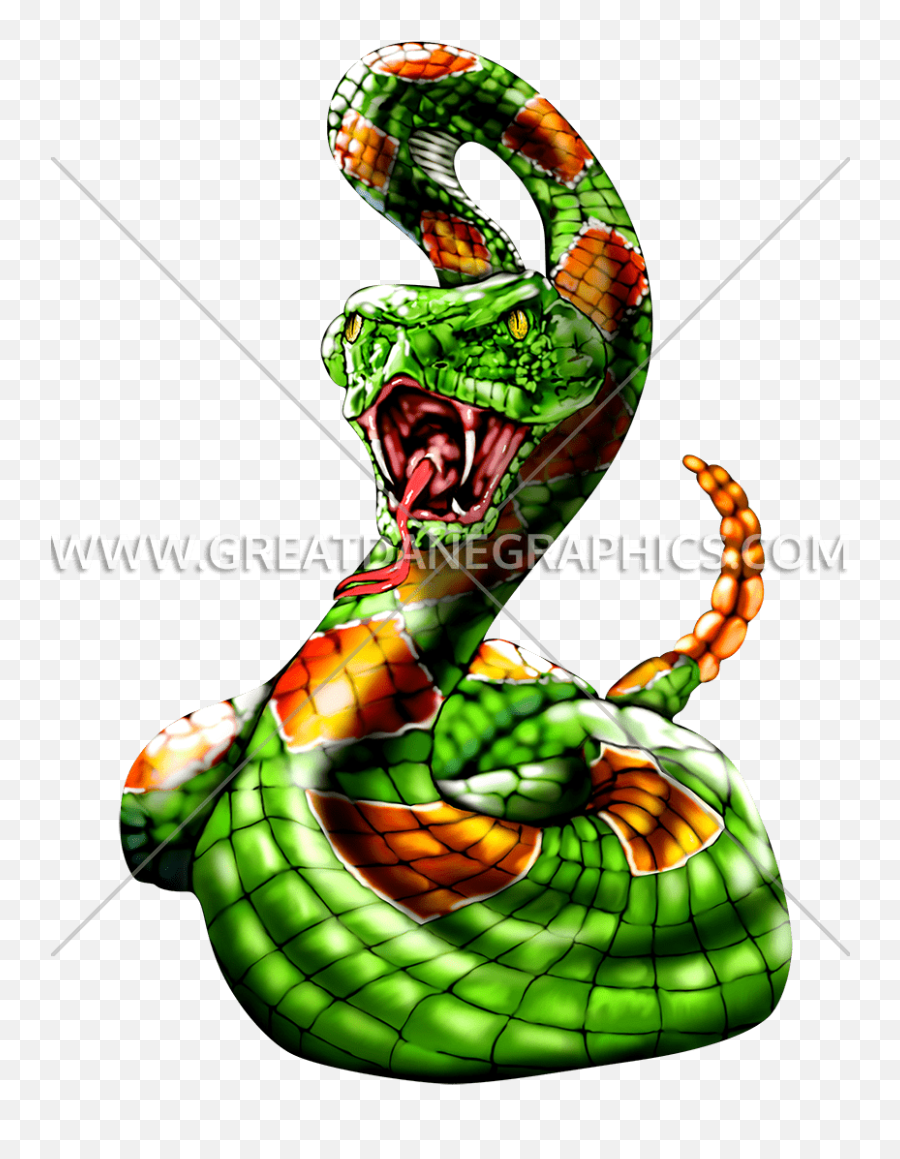 Download Green Snake Png - Snakes Png Image With No Rattlesnake Graphics,Snakes Png