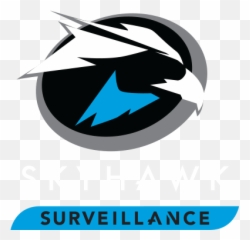 Hdd Seagate Logo - Skyhawk Ai 10tb png