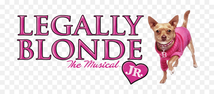 Legally Blonde Jr - 2week Production Grades 512 Frisco Legally Blonde Jr Logo Png,Pink Dog Logo