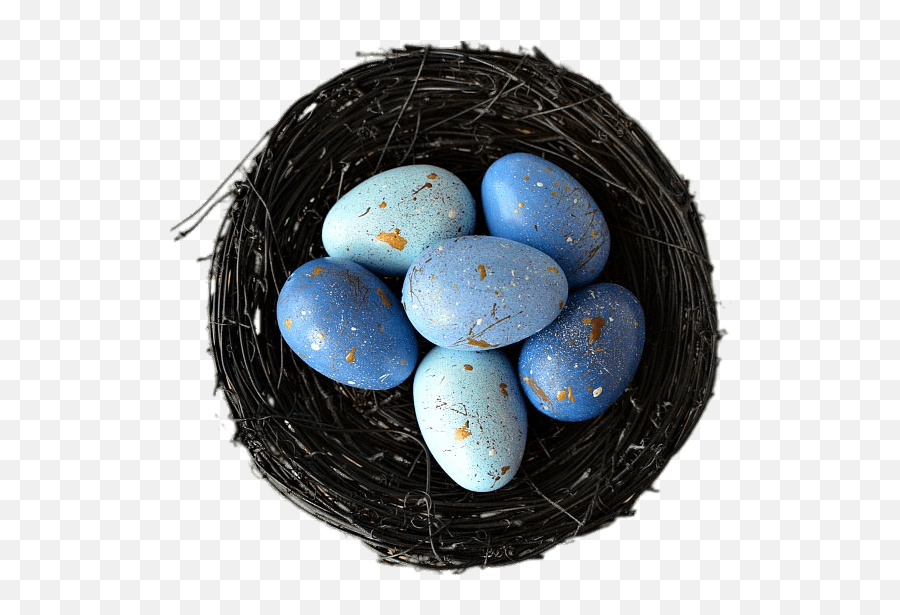 Nest With Blue Eggs Transparent Png - Egg,Nest Png
