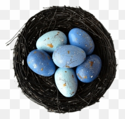 Nest With Blue Eggs Transparent Png - Egg,Nest Png