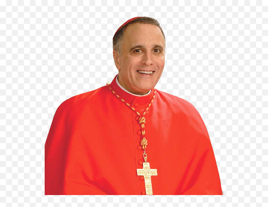 Newsevents - Cardinal Dinardo Png,Saint Anne Icon