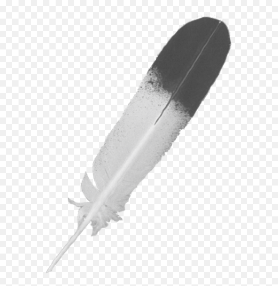 Feather Icon Png Image Images Download - Portable Network Graphics,Feather Icon Vector