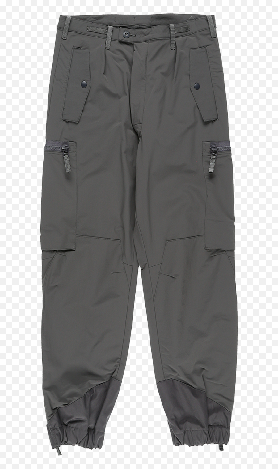 Cav Empt Ranger Pants - Cargo Pants Png,Cav Empt Icon Pullover