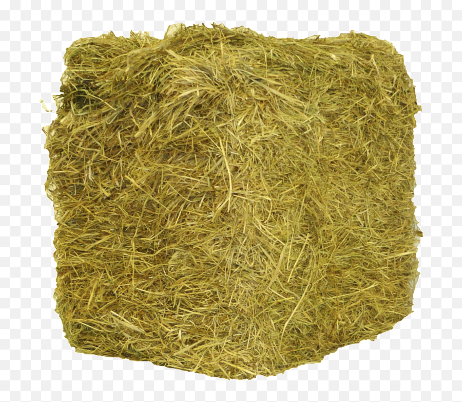 The Art Of Hay Making - Hay Png,Hay Bale Icon