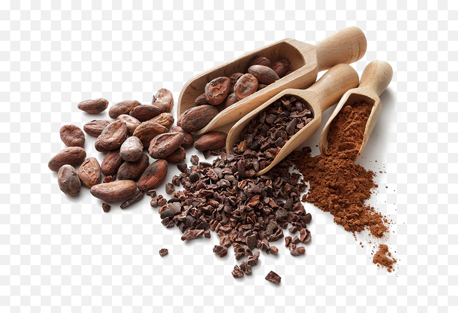 Cocoa Beans Png Hd Mart - Cocoa Y Chocolate Png,Seed Png