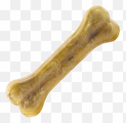 Bone Png Images Free Download - Png