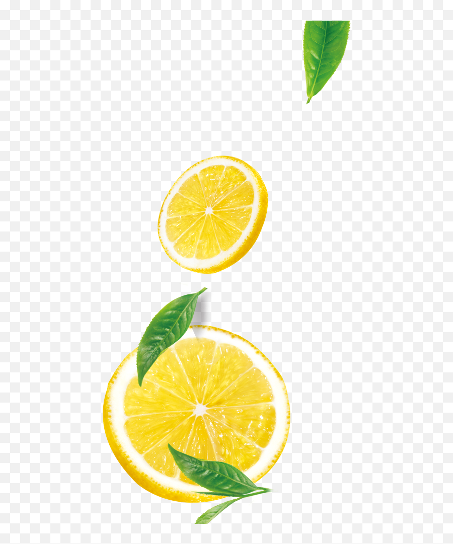 Lemon Transparent Png Image U0026 Clipart - Lemon Lemon Slices Png,Lemon Clipart Png
