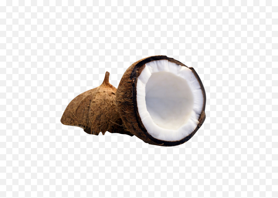 Half Cut Coconut Png Image - Coconut Milk,Coconut Png