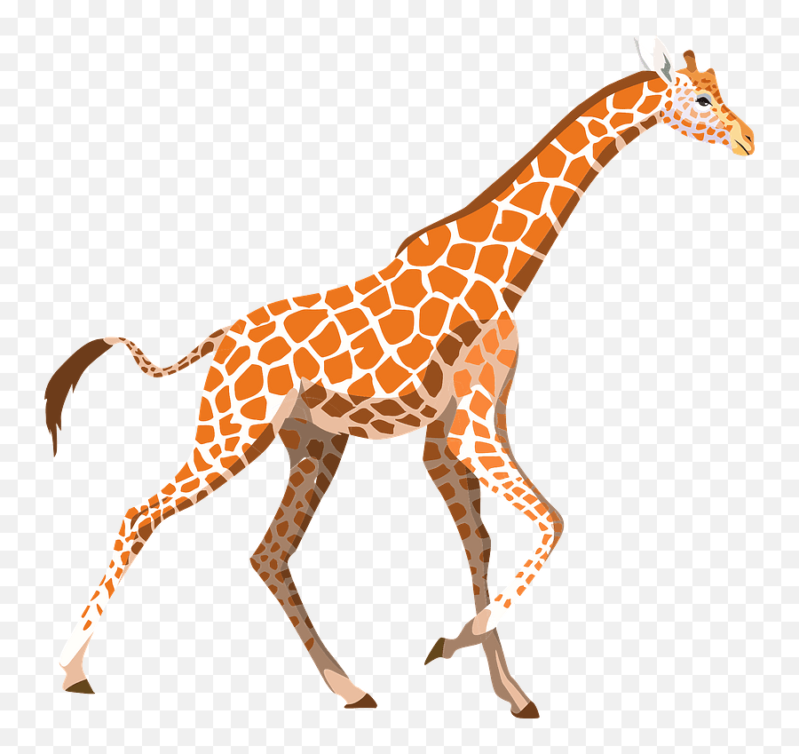Mammal Clipart Giraffe - Jirafas Png Transparent Cartoon Wild Transparent Animal Png,Giraffe Transparent Background