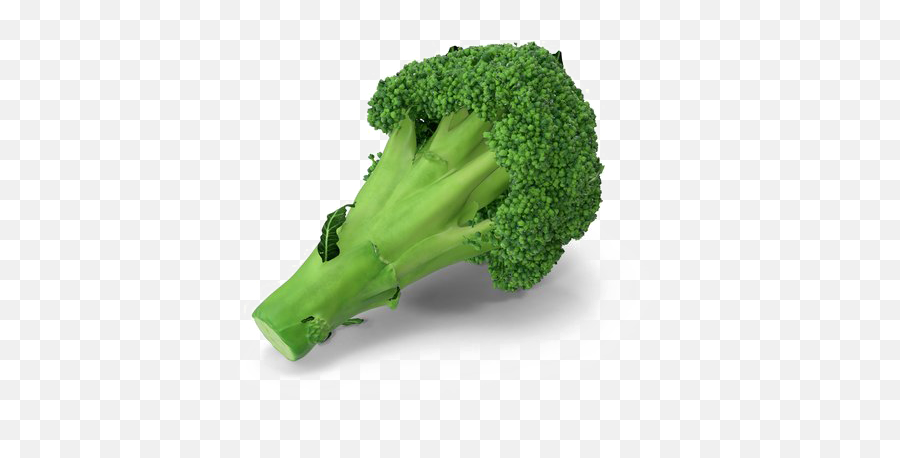 Broccoli Png Transparent Image - Broccoli,Broccoli Transparent