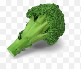 Broccoli Png Transparent Image - Broccoli,Broccoli Transparent