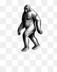 Handdrawn Bigfoot Sasquatch Humananimalhybrid Cryptid - Cryptid Png,Sasquatch Png