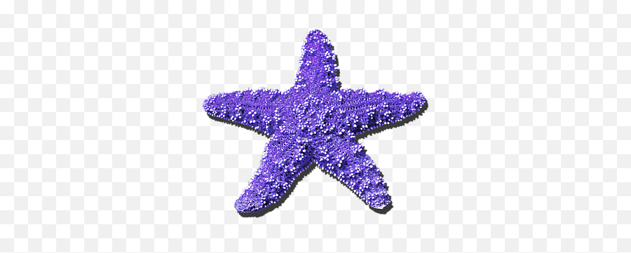 Sea Star Purple - Red And White Flag With One Star Png,Made In Usa Png