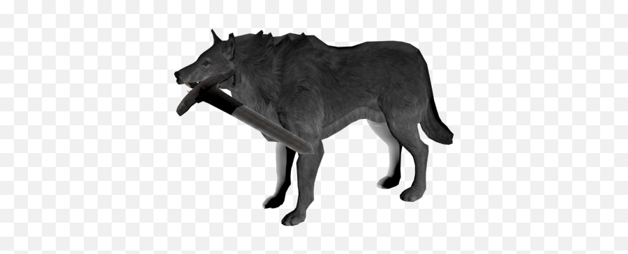 Grey Wolf Png File Mart - Great Grey Wolf Sif Skyrim,Black Wolf Png