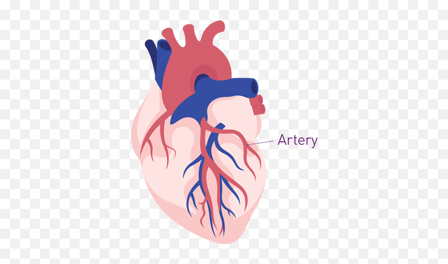Risk Of Second Heart Attack Brilinta Ticagrelor Tablets - Illustration Png,Bloody Heart Png
