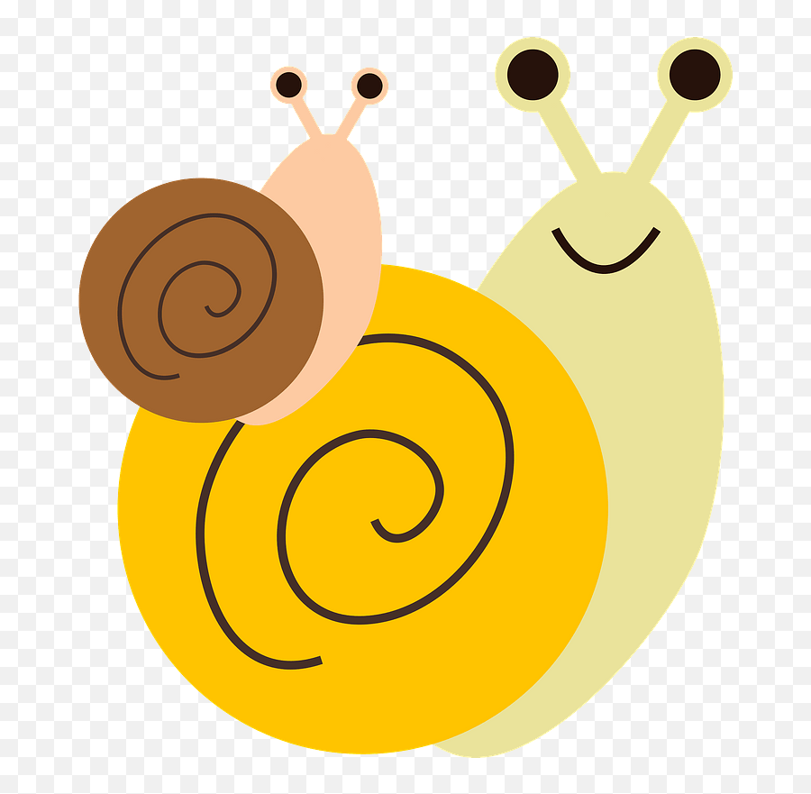 Snails Animal Clipart Free Download Transparent Png - Sea Snail,Snail Png