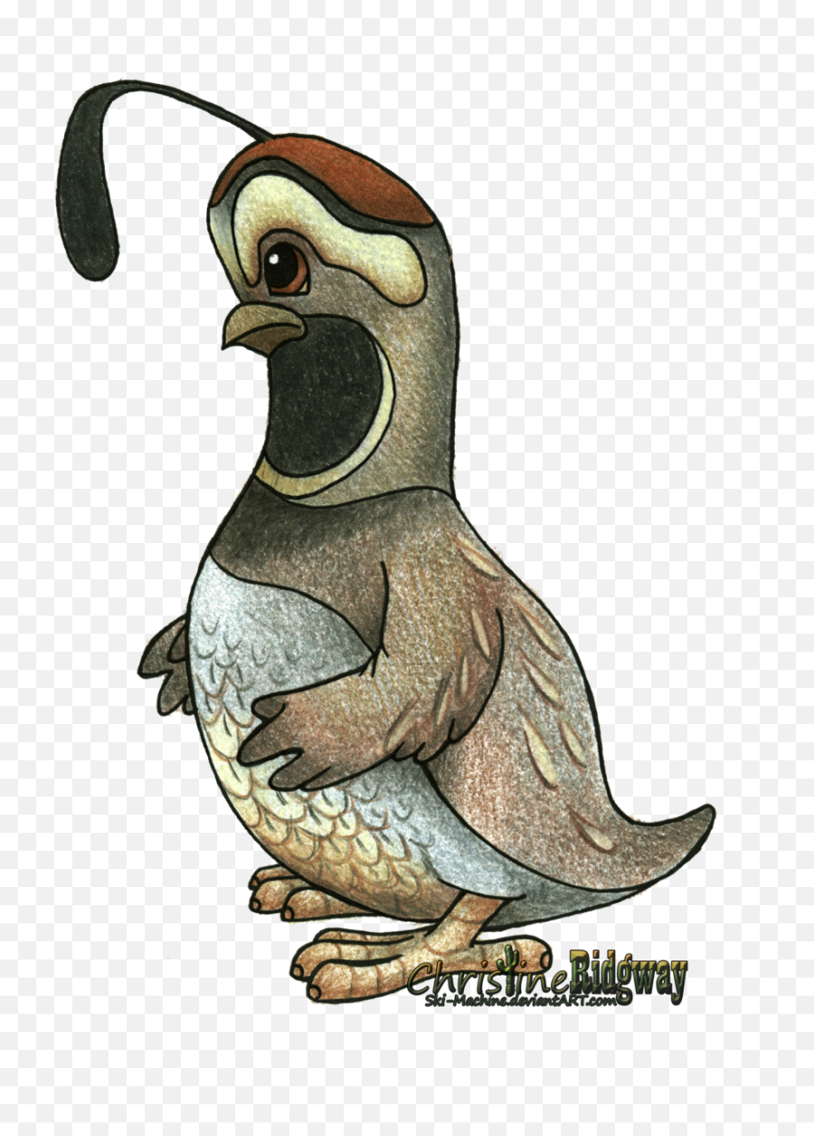 Transparent Cali Quail Picture 2778347 - Looney Tunes Birds Png,Quail Png