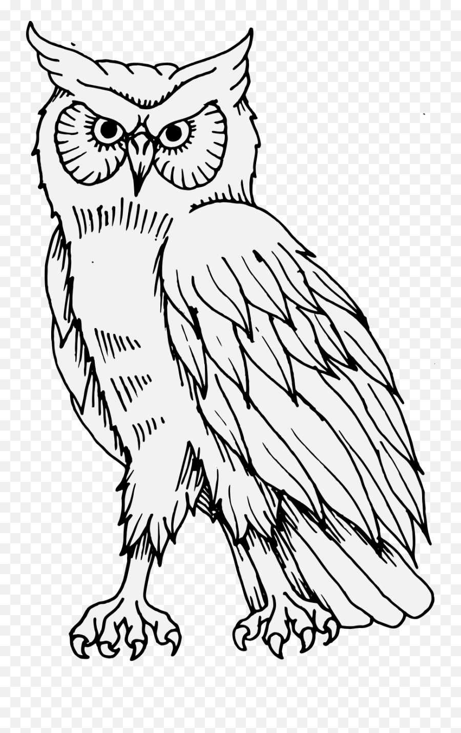 Owl - Traceable Heraldic Art Owl Pdf Png,Owls Png