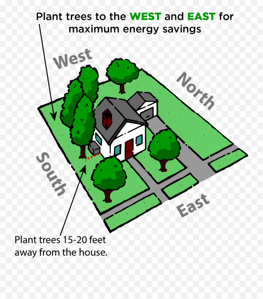 Trees Top View Png - Where Should I Plant Itu0027s Best To Plant Diagram,Plant Top View Png