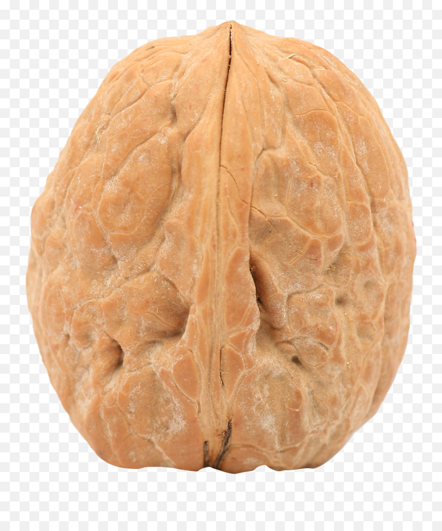 Walnut Png Image - Purepng Free Transparent Cc0 Png Image Single Walnut Png,Nut Png