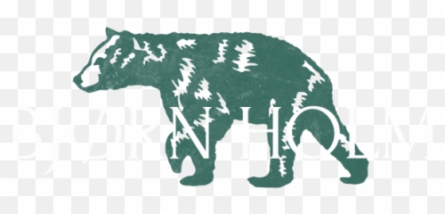 3 - Grizzly Bear png