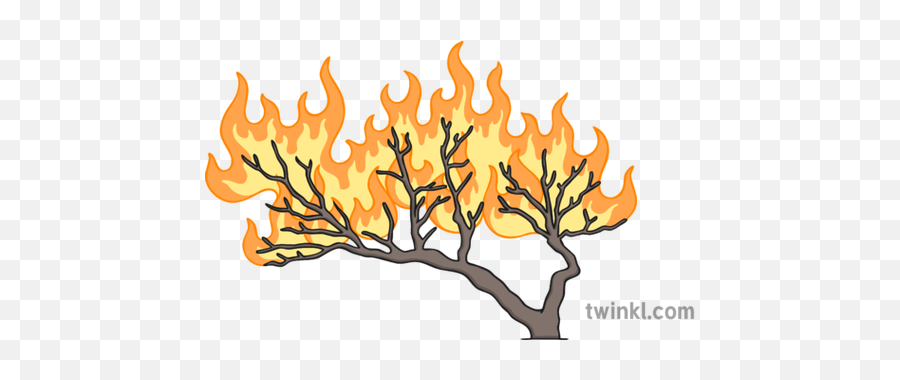 Burning Bush Illustration - Twinkl Burning Bush Png,Bush Transparent