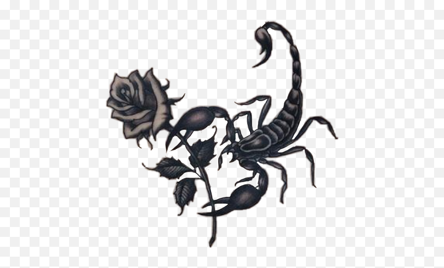Scorpion Rose Tattoo Sticker By - Scorpion Tattoo With Rose Png,Scorpion Transparent Background