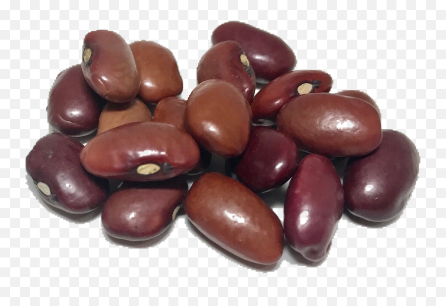 Download Dry Beans Png Transparent - Clipart Single Kidney Bean,Beans Transparent