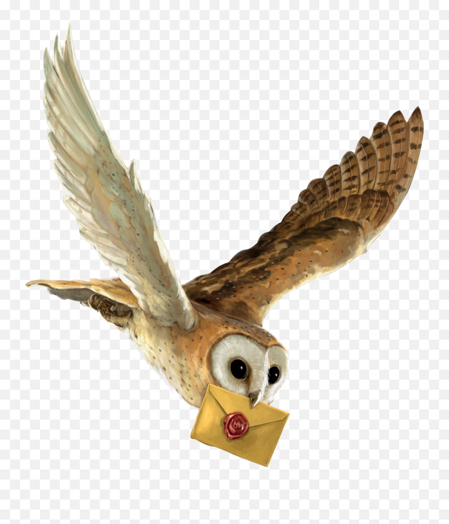 Transparent Harry Potter Png Download - Harry Potter Flying Owl,Hedwig Png