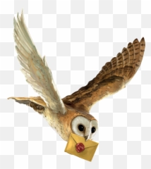 Transparent Harry Potter Png Download - Harry Potter Flying Owl,Hedwig Png