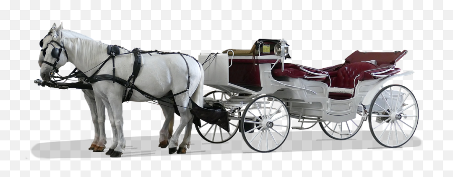 Horse Drawn Carriage Coach Team - Horse Harness Png,Carriage Png