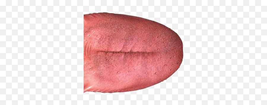 Tongue Png - Tongue Png,Tongue Transparent