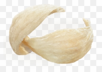 Edible - Bird Nest Edible Png,Nest Png