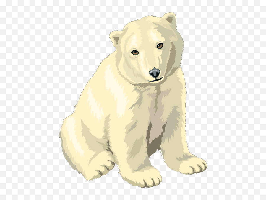 Polar Bear To Use Hd Photo Clipart Png - Polar Bear Clip Art,Polar Bear Png