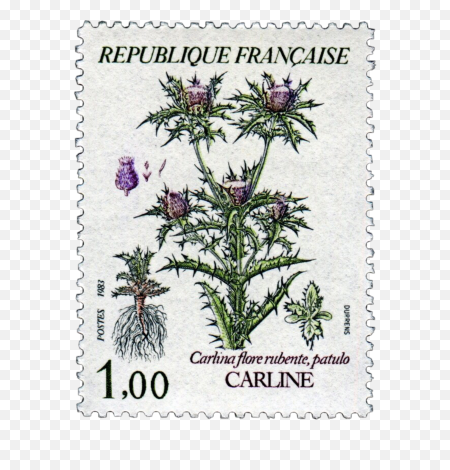 Stamp Stamps Flower Flowers Png Pngs
