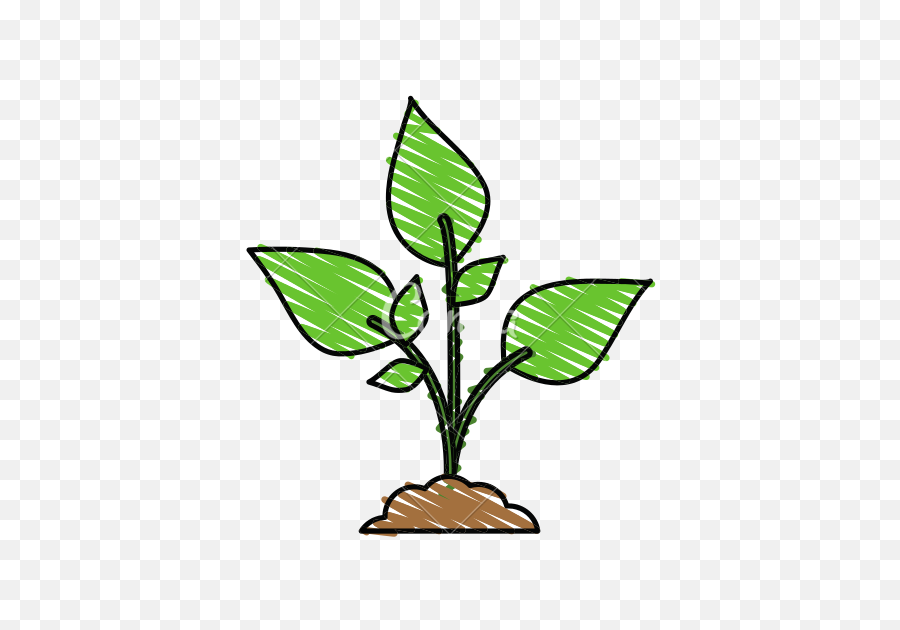 Cartoon Plant Clipart - Full Size Clipart 2874321 Plant Cartoon Png,Marijuana Plant Png