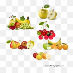 Delicious Fruits Clipart Png Format Free - Transparent Fruit Vector Png,Fruit Clipart Png