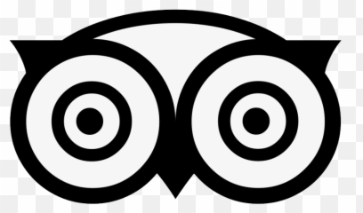 Terms And Condition - Black Trip Advisor Logo Png