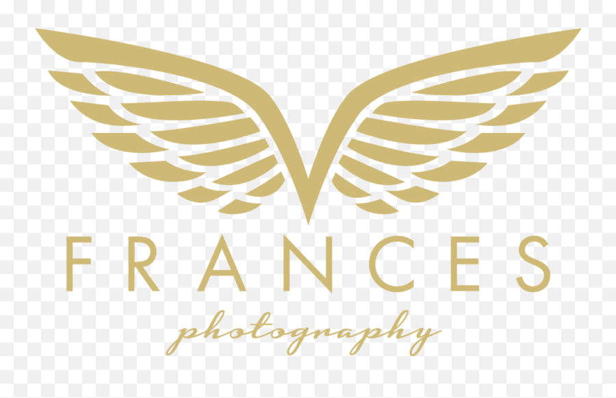 Frances Photography Logo Bold Gold Wings - National Energy Services Reunited Corp Png,Gold Wings Png